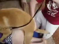 Horny dog pounding the pussy of a sexy babe